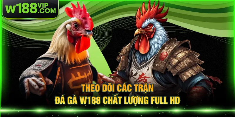 Theo dõi các trận Đá Gà W188 chất lượng Full HD